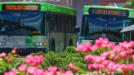 Two green busses sitting next to each other during the daytime at Carolina campus.